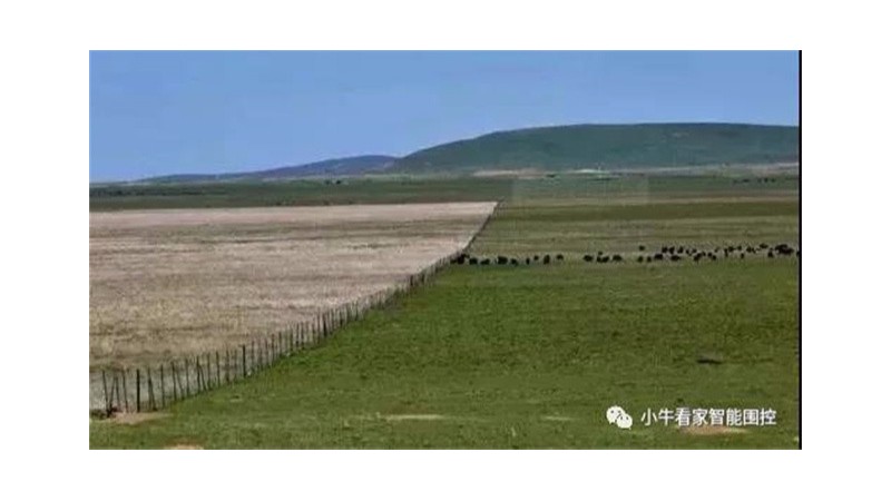 第十九届中国畜牧业博览会在江西南昌盛大开幕！