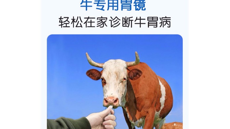 牛吃下塑料怎么办？小牛看家牛胃镜（取物器）轻松解决！