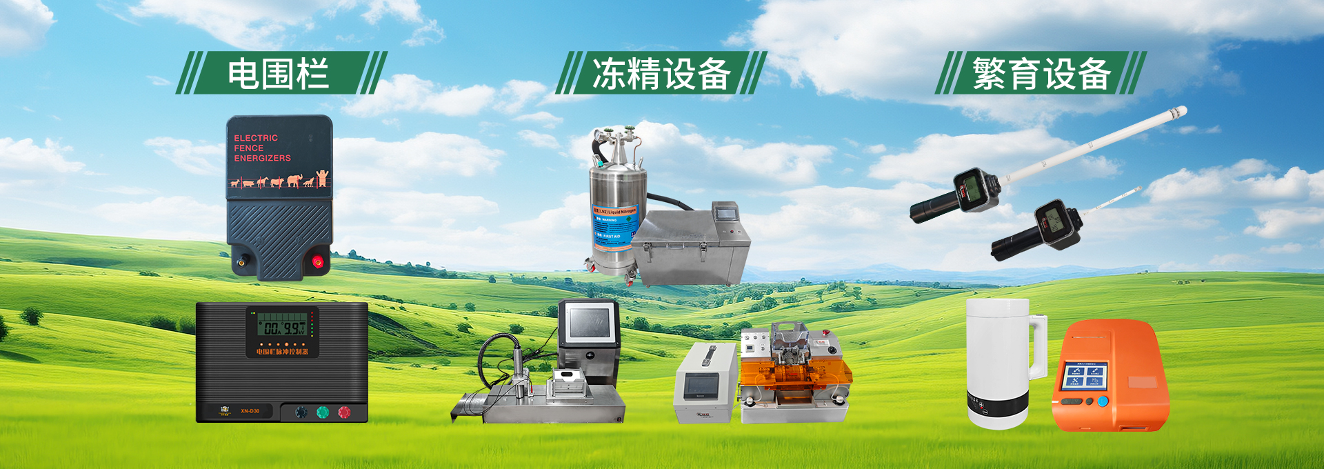网站11(1)