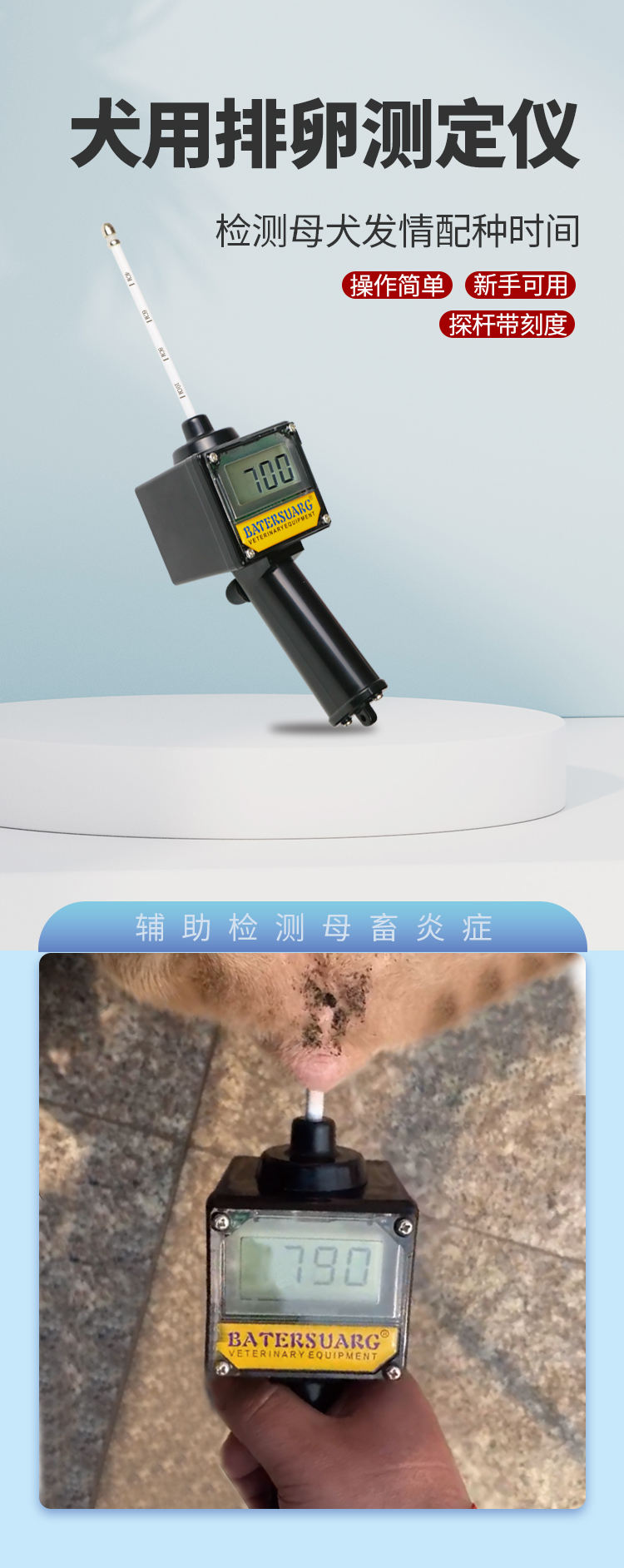 刻度犬排详情_01