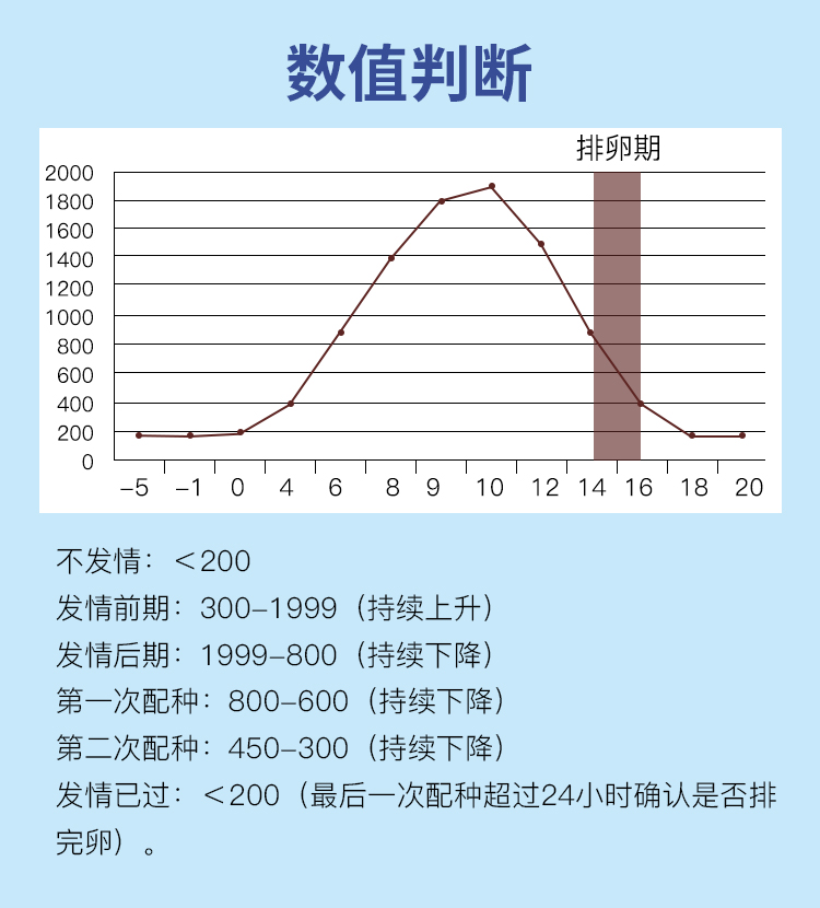 刻度犬排详情_06