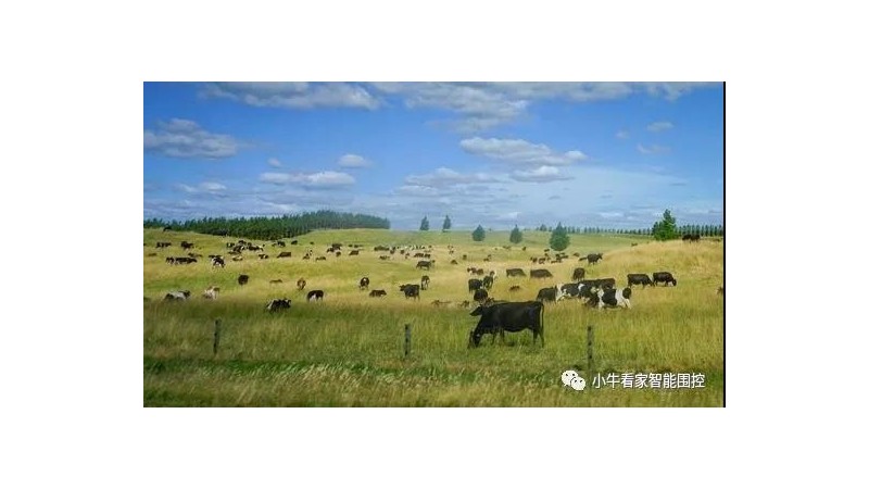 小牛看家电子围栏轮区放牧怎么做到方便安全？