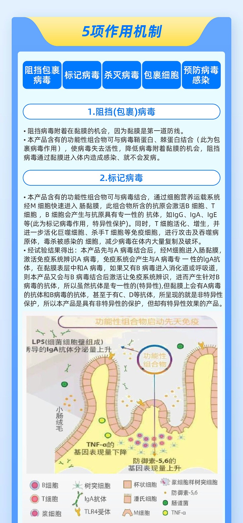 铁栏32-3