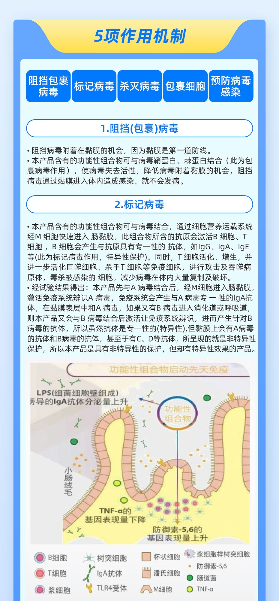 铁栏32-3