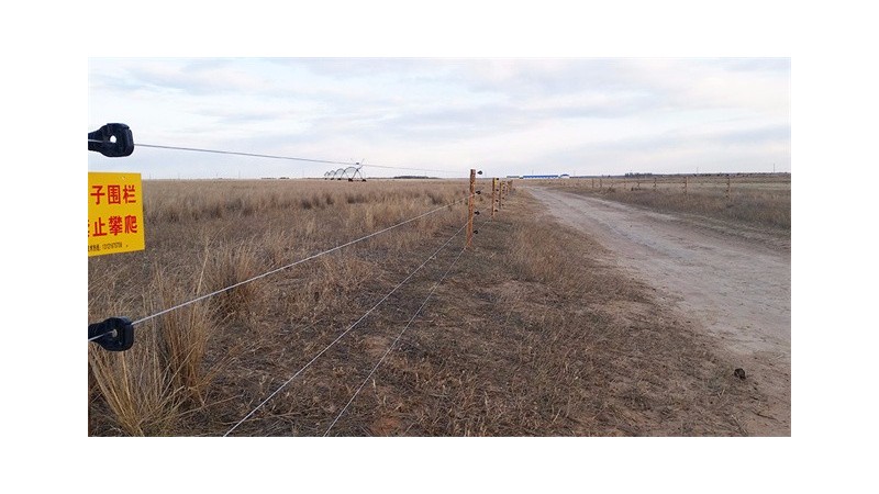 电子围栏在畜牧业划区轮牧对治理草地荒漠化具有必要性！